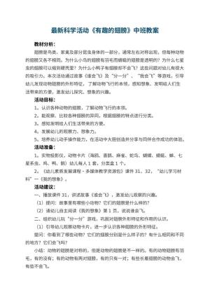 最新科学活动《有趣的翅膀》幼儿园中班教案预览