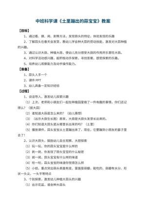 幼儿园中班科学课教案《土里蹦出的蒜宝宝》 包含反思预览