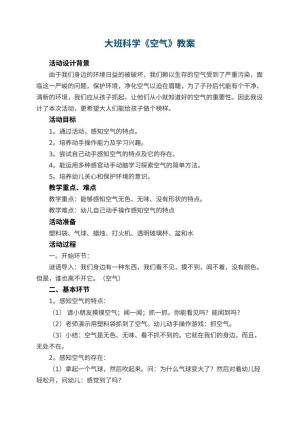 幼儿园大班科学教案《空气》 包含反思预览