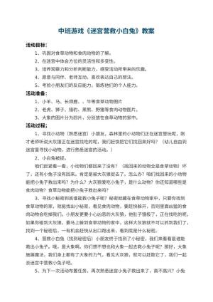 幼儿园中班游戏教案《迷宫营救小白兔》预览