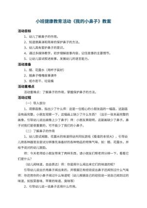 幼儿园小班健康教育活动教案《我的小鼻子》 包含反思预览