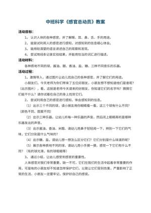 幼儿园中班科学教案《感官总动员》预览