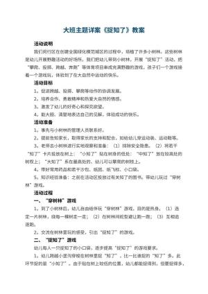 幼儿园大班主题详案教案《捉知了》 包含反思预览