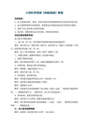 幼儿园小班科学观摩教案《响瓶摇摇》 包含反思预览