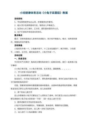 幼儿园小班健康体育活动《小兔子采蘑菇》预览