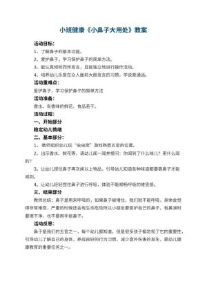 幼儿园小班健康教案《小鼻子大用处》 包含反思预览
