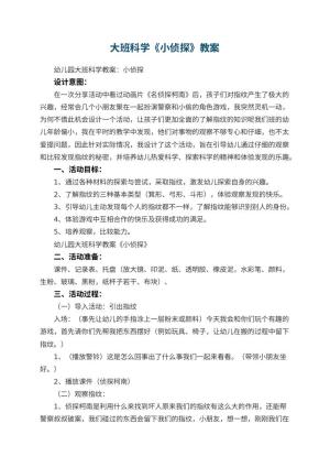 幼儿园大班科学教案《小侦探》预览
