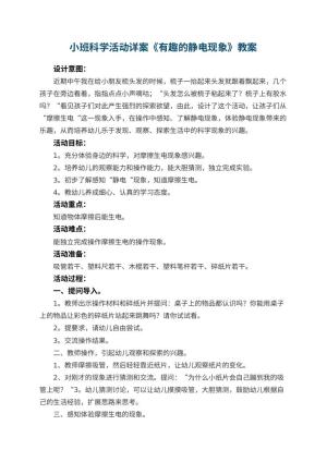幼儿园小班科学活动详案教案《有趣的静电现象》 包含反思预览