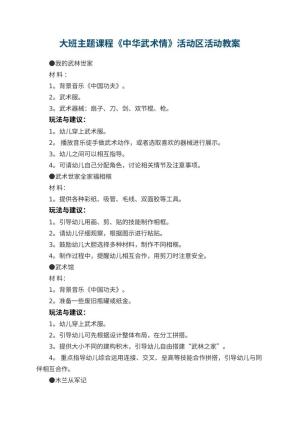 幼儿园大班主题课程《中华武术情》活动区活动预览