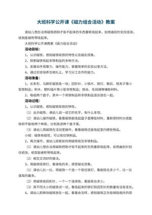 幼儿园大班科学公开课教案《磁力组合活动》 包含反思预览