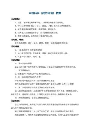 幼儿园大班科学教案《我的牙齿》 包含反思预览