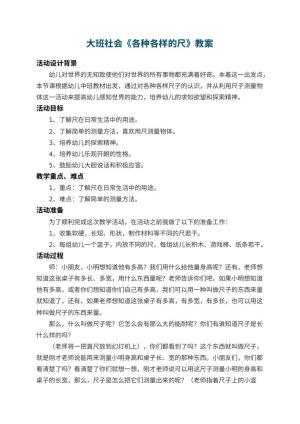 幼儿园大班社会教案《各种各样的尺》 包含反思预览
