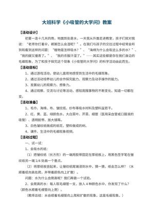 幼儿园大班科学教案《小吸管的大学问》