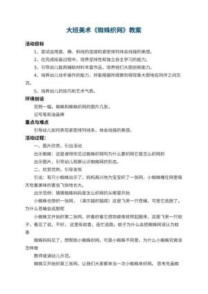 幼儿园大班美术教案《蜘蛛织网》 包含反思预览