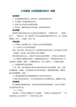 幼儿园小班健康优秀教案《玩得健康好成长》 包含反思预览