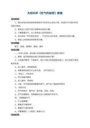 幼儿园大班科学教案《空气的秘密》 包含反思预览