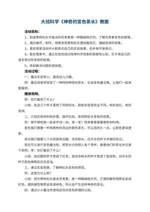 幼儿园大班科学《神奇的变色茶水》教案