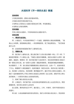 幼儿园大班科学优秀教案《不一样的头发》 包含反思预览