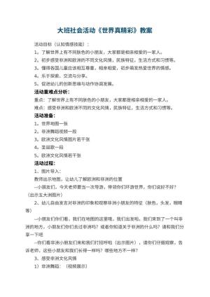 幼儿园大班社会活动《世界真精彩》 包含反思