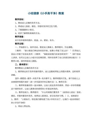 幼儿园小班健康教案《小手真干净》预览