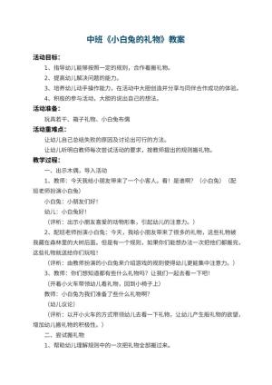 幼儿园中班教案《小白兔的礼物》 包含反思预览