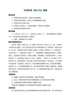 幼儿园中班体育教案《捉小马》 包含反思预览