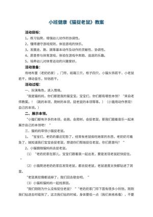幼儿园小班健康教案《猫捉老鼠》 包含反思预览
