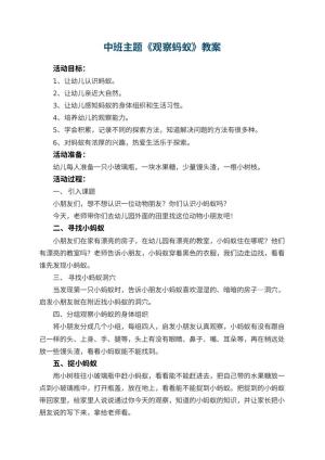 幼儿园中班主题教案《观察蚂蚁》 包含反思预览