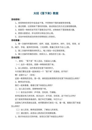 幼儿园大班教案《落下来》 包含反思预览