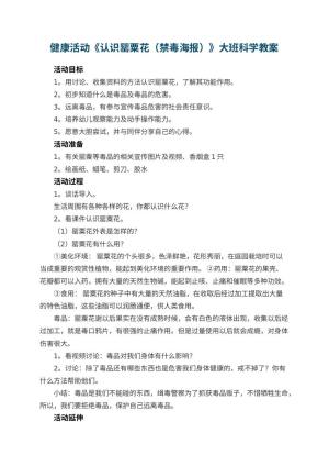 幼儿园健康活动《认识罂粟花（禁毒海报）》大班科学教案 包含反思预览