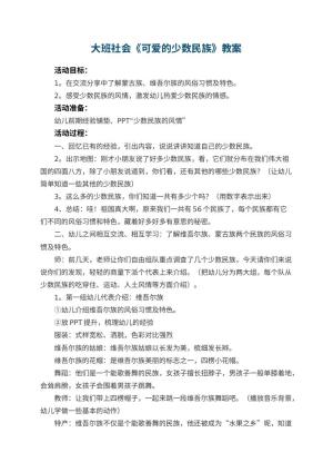 幼儿园大班社会优秀教案《可爱的少数民族》 包含反思预览