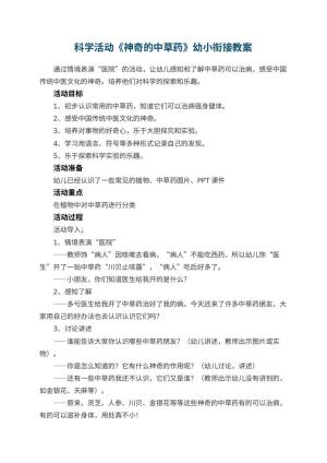 幼儿园科学活动《神奇的中草药》幼小衔接教案预览
