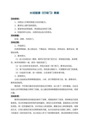幼儿园大班健康教案《打球门》 包含反思预览