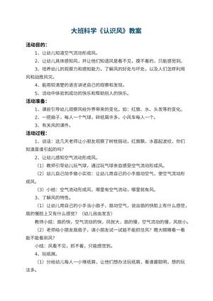 幼儿园大班科学优秀教案《认识风》 包含反思