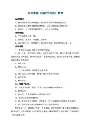 幼儿园大班主题教案《鞋底的秘密》 包含反思预览