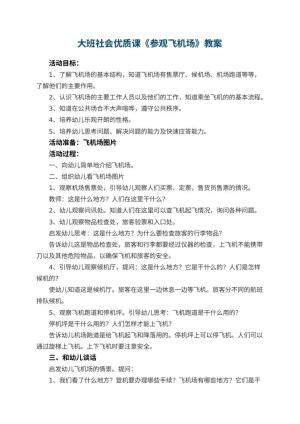 幼儿园大班社会优质课教案《参观飞机场》 包含反思预览