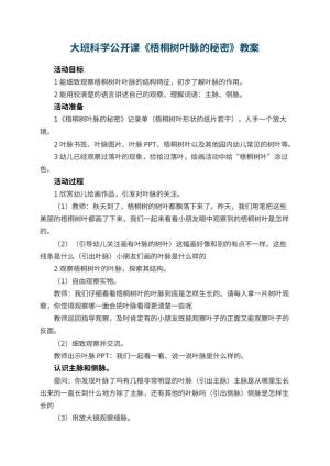 幼儿园大班科学公开课教案《梧桐树叶脉的秘密》 包含反思预览