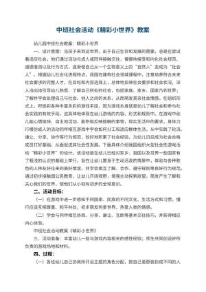 幼儿园中班社会活动教案《精彩小世界》预览