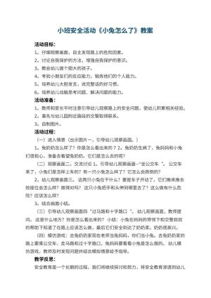 幼儿园小班安全活动《小兔怎么了》教案 包含反思