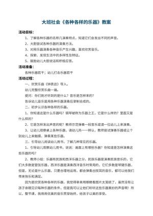 幼儿园大班社会教案《各种各样的乐器》 包含反思预览
