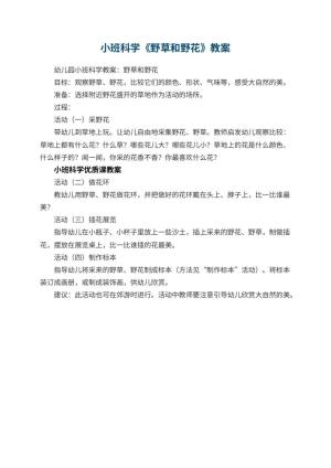 幼儿园小班科学《野草和野花》教案预览