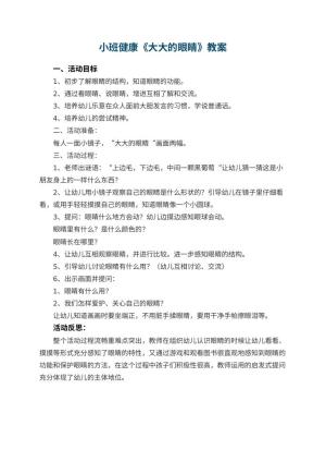 幼儿园小班健康优秀教案《大大的眼睛》 包含反思预览