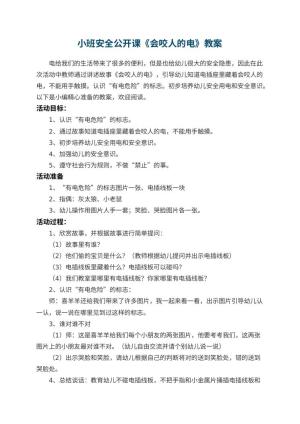 幼儿园小班安全公开课教案《会咬人的电》 包含反思预览