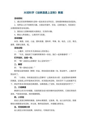 幼儿园大班科学教案《当碘酒遇上淀粉》 包含反思预览