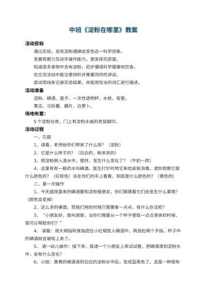 幼儿园中班教案《淀粉在哪里》预览