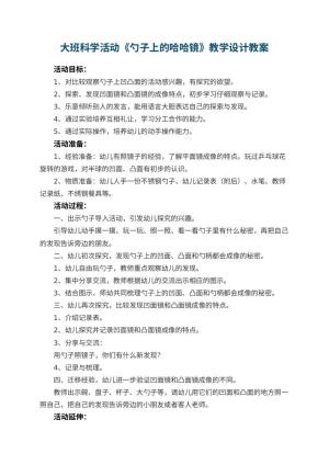 幼儿园大班科学活动《勺子上的哈哈镜》教学设计 包含反思预览