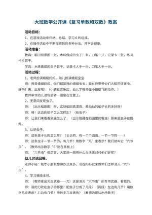 幼儿园大班数学公开课教案《复习单数和双数》 包含反思预览
