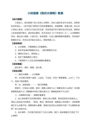 幼儿园小班健康优秀教案《我的大眼睛》 包含反思预览