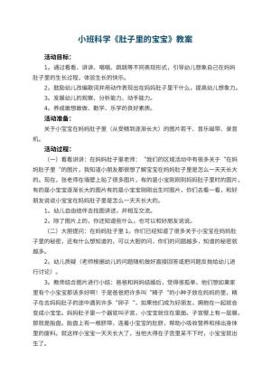 幼儿园小班科学优秀教案《肚子里的宝宝》 包含反思预览