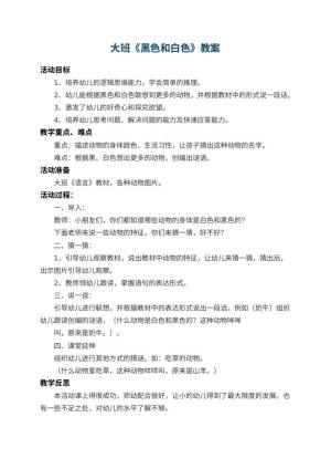 幼儿园大班教案《黑色和白色》 包含反思